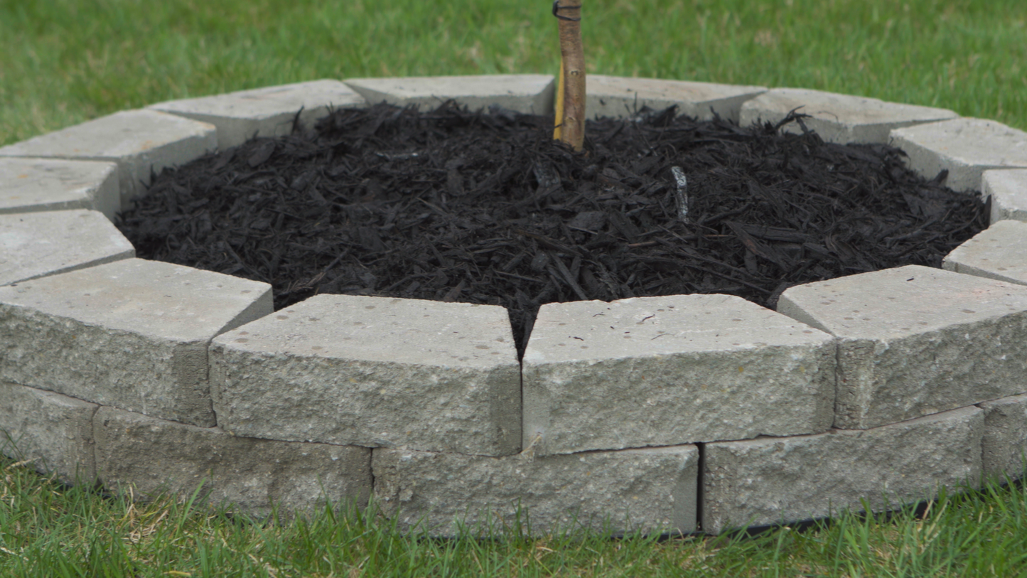 Pavertrax paver brick circle tree ring unwanted growth