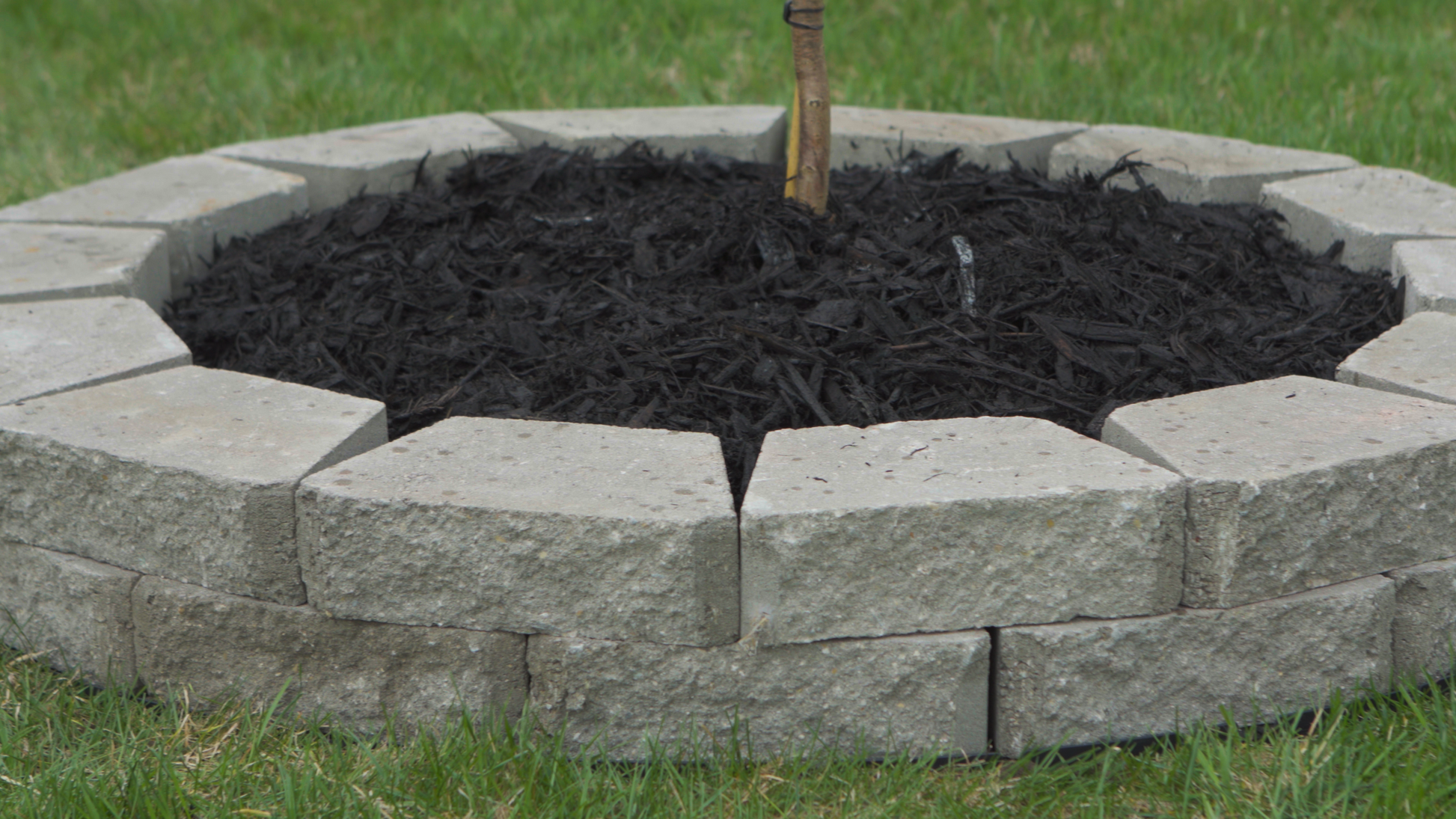 Pavertrax paver brick circle tree ring unwanted growth