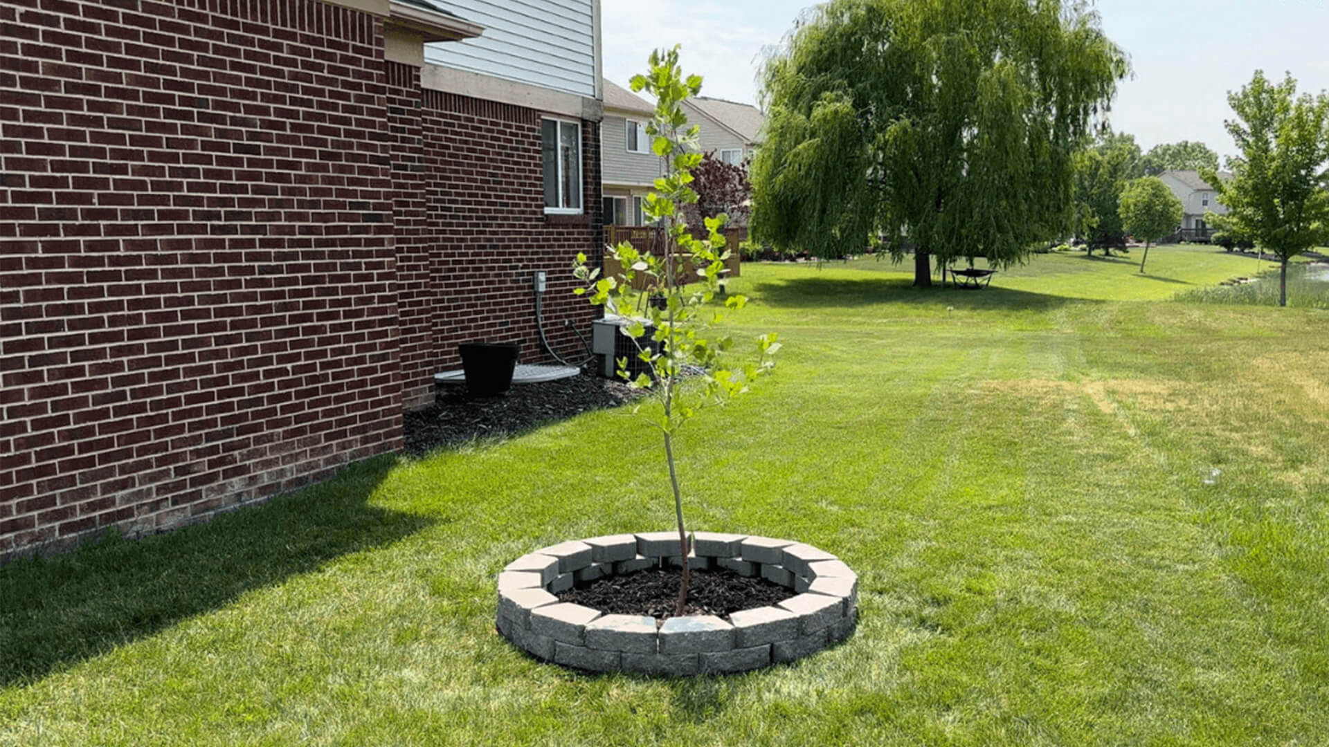 Finished PaverTrax circle paver tree ring installed in a backyard